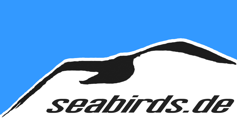 seabirds/shop